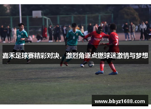 嘉禾足球赛精彩对决，激烈角逐点燃球迷激情与梦想